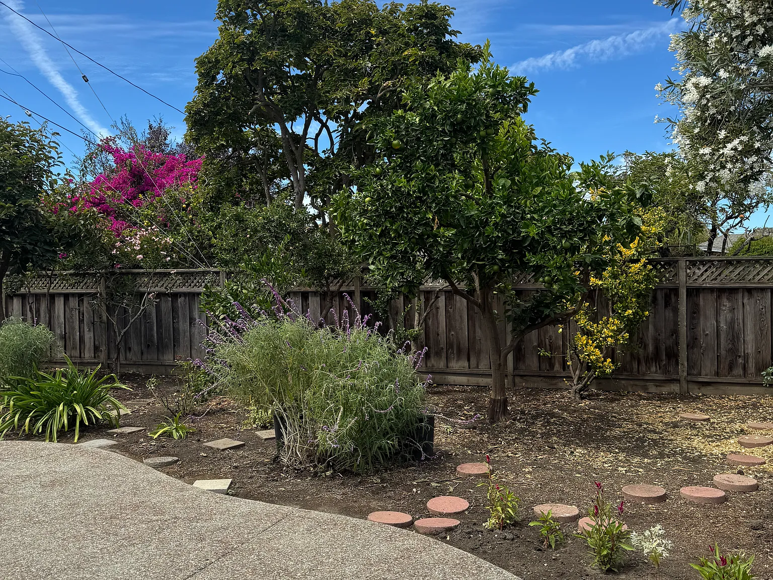 2 bed, 810 sqft, $4,200 — Photo 3