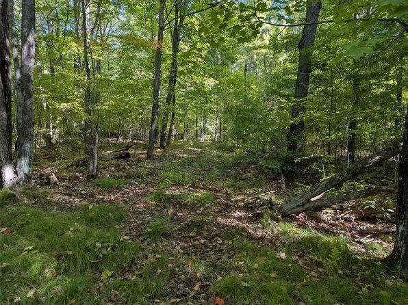 Lot 17 Rabbit Run, Ojibwa, WI 54862
