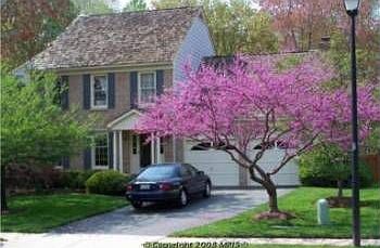 1st image of 2978 Franklin Oaks Dr