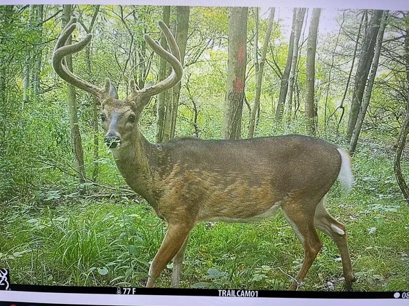 0 Orchard Dr, Corning, NY 14830