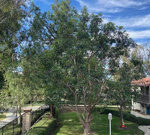 View of green space from deck