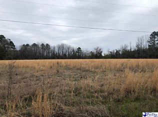 Stagecoach Rd, Effingham, SC 29541