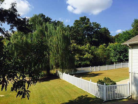 View of backyard from Drive