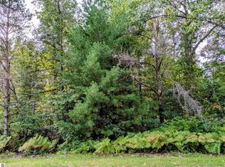 S Forest Lake Dr, Alger, MI 48610