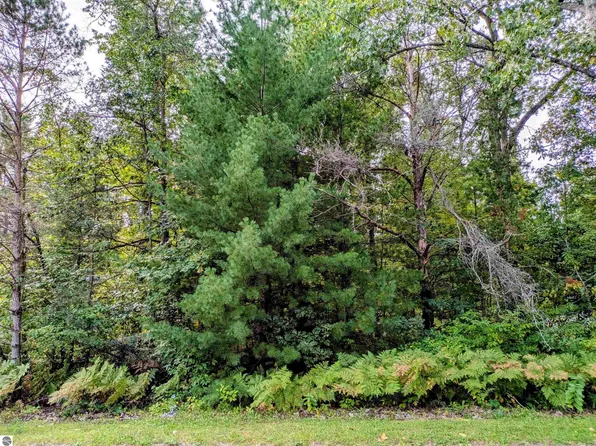 S Forest Lake Dr, Alger, MI 48610