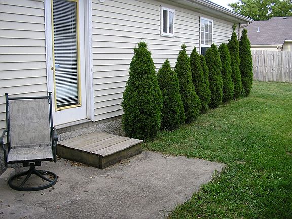 2nd image of 2605 Cashel Ct