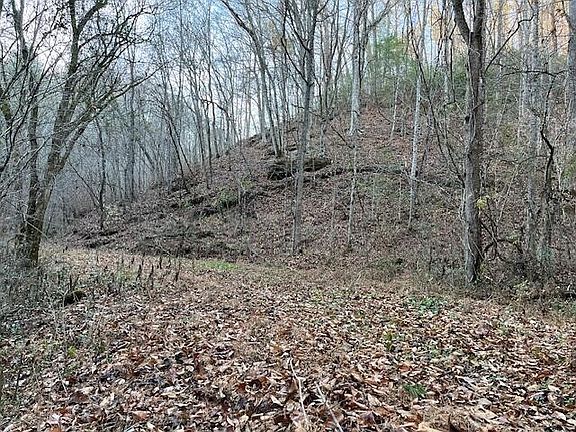 3rd image of 0 County Road 484