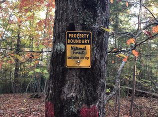 4 Doublehead Gap Rd, Blue Ridge, GA 30513