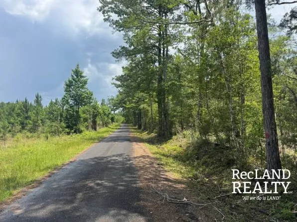 0 Alton Shively Rd, Bienville, LA 71008