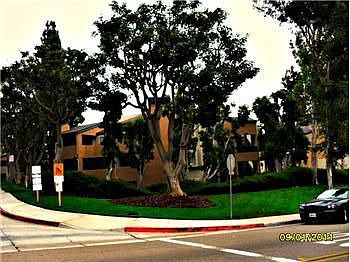 5th image of 9795 Mesa Springs Way Unit 96