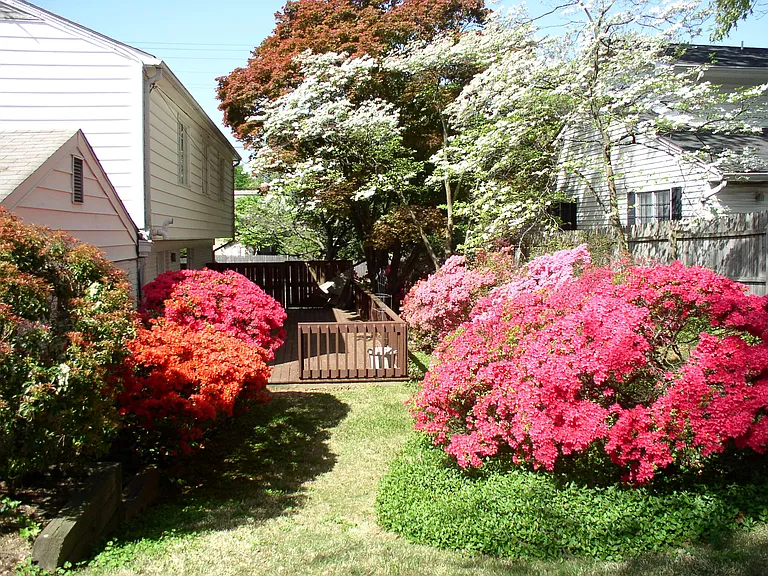 6207 Maiden Ln — Photo 6