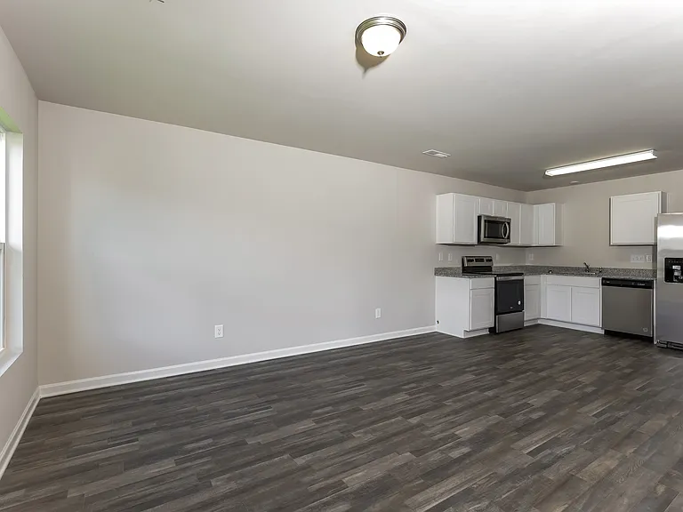 1433 Centipede Dr — Photo 4
