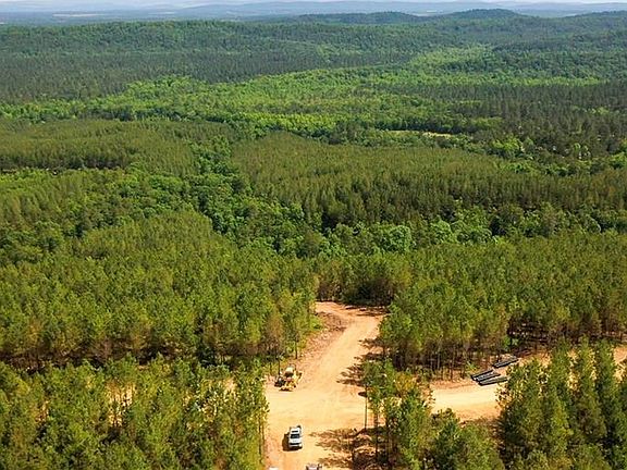 5th image of 51 Virginia Pine Pl Lot 51