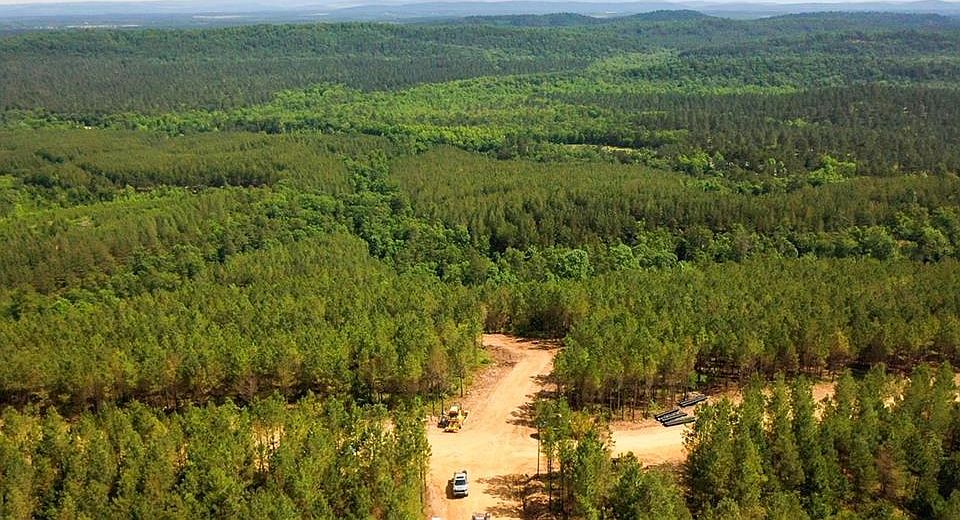 2nd image of 49 Virginia Pine Pl Lot 49