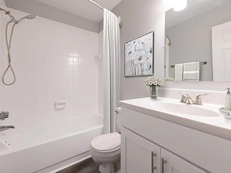 Fort Mill Townhomes — Photo 19