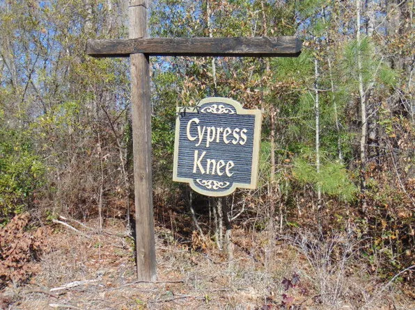 1 Parklin Ln, Elloree, SC 29047