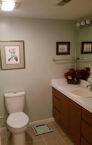 Guest bathroom