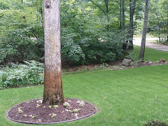 3rd image of 3349 Saratoga Springs Dr