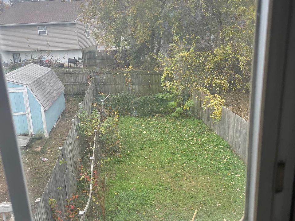 back yard