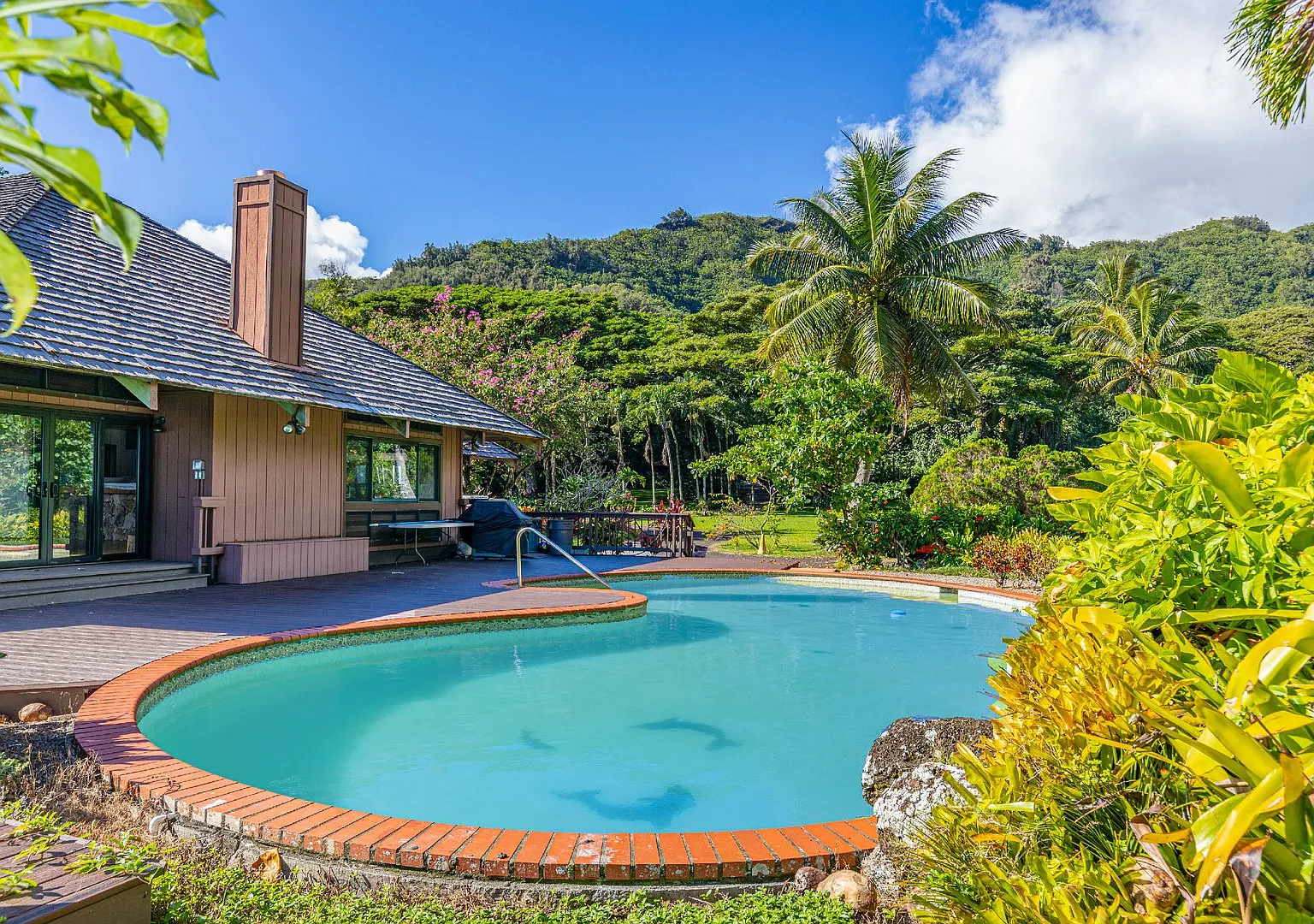 Hakipuu Hale — Photo 2