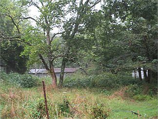 5th image of 1671 Newport Pl