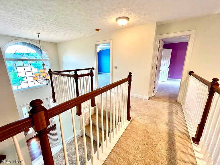 12341 Paddock Cir — Photo 22