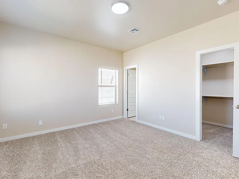 11118 Blue Eyed Grass St — Photo 19