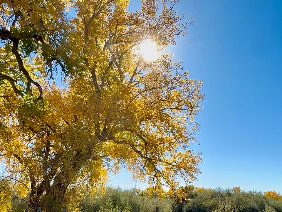 1st image of 4599 Xx Rd