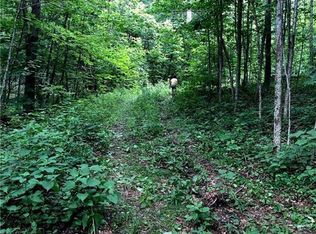 2085 Ball Branch Rd, Boone, NC 28607