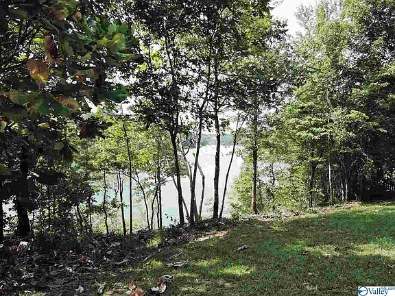 5th image of 613 County Road 376