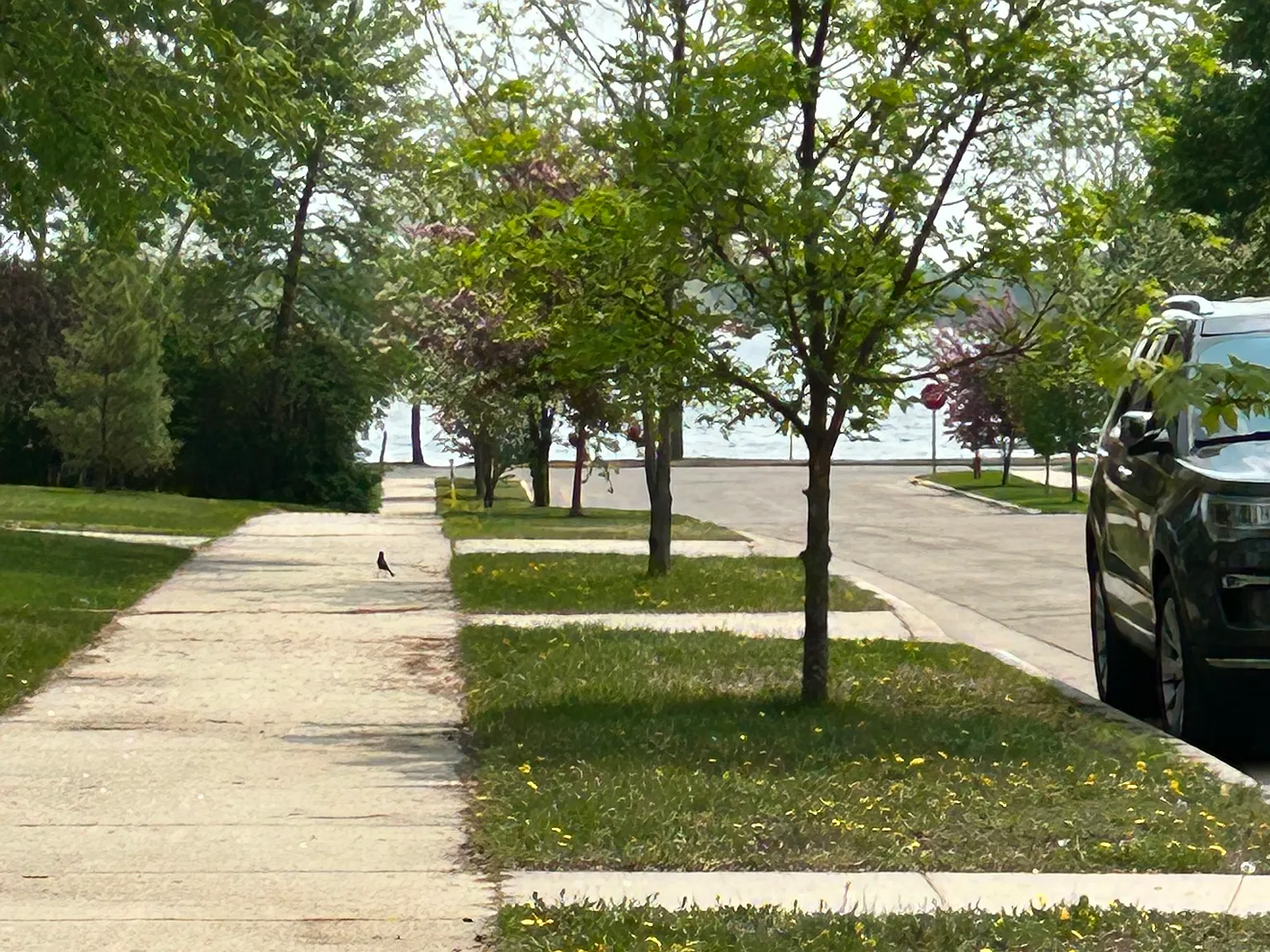 3 bed, 1424 sqft, $1,300 — Photo 4