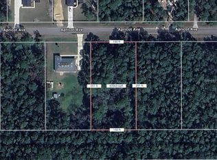 Apricot Ave #14, Eustis, FL 32736