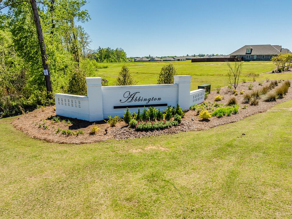 Abbington Community Photography