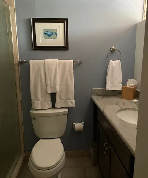 4365 Lower Honoapiilani Rd #203 — Photo 8