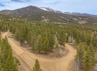 30406 National Forest Dr, Buena Vista, CO 81211