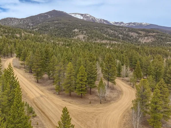 30406 National Forest Drive, Buena Vista, CO 81211