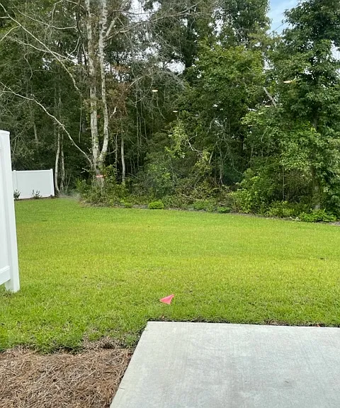 129 Hoffman Park Dr — Photo 28