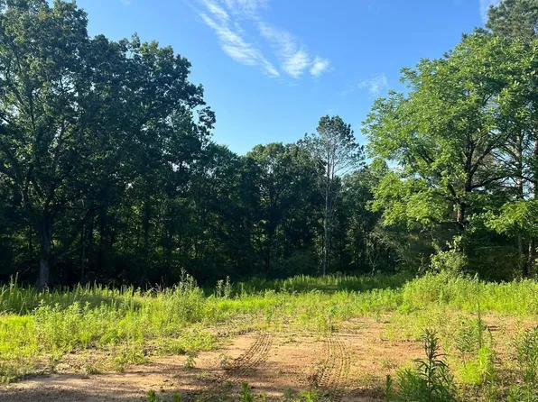 0 County Road 843, Logan, AL 35098