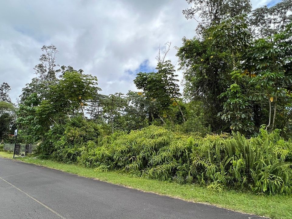 1st image of Anthurium Dr Lot 27