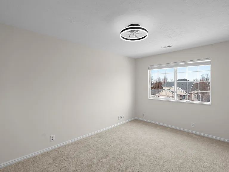 E Candle Spruce Cv — Photo 15