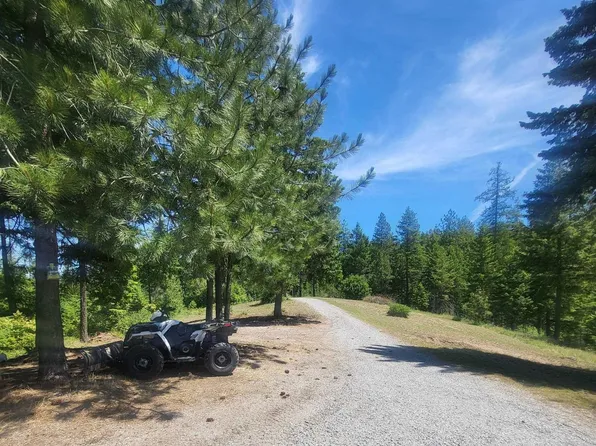 42484 Mount Moriah Way, Loon Lake, WA 99148