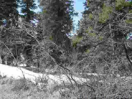 2nd image of 76 W Deep Forest Rd #76-PI-C