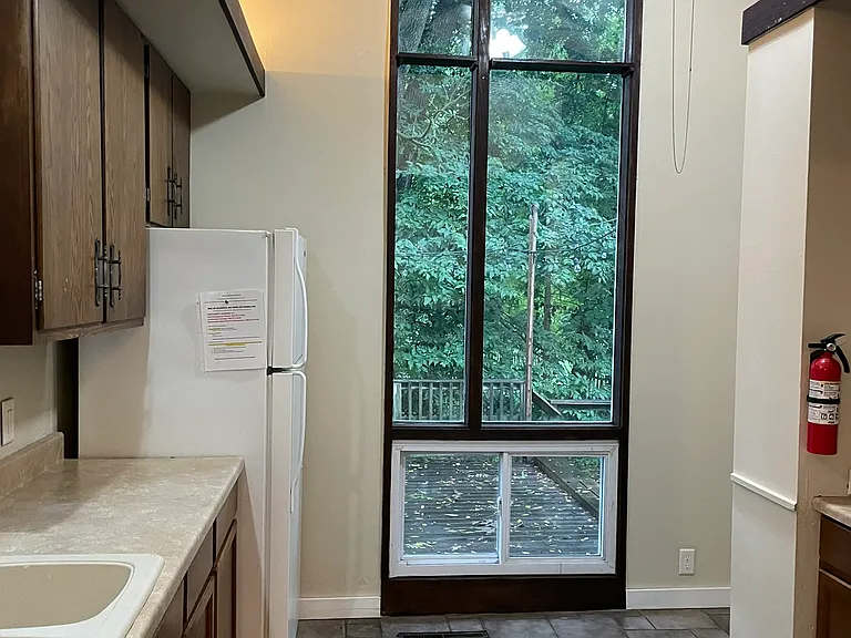 1003 Newton Ct — Photo 4