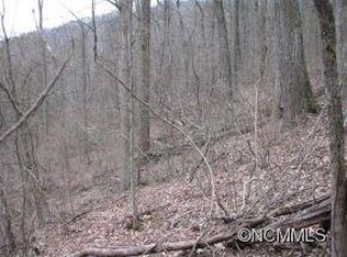 0 Pinners Cove Rd, Asheville, NC 28803