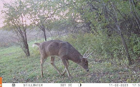 3rd image of 15813 116th St N