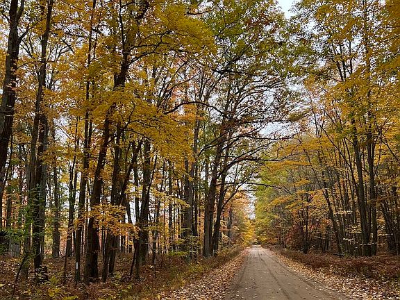 4th image of 7584 Railroad Grade Rd