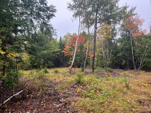 Lot 113 Bass Overlook Road, Waltham, ME 04605