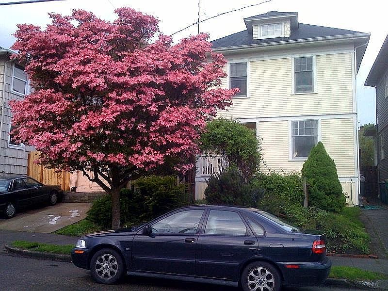 828 13th Avenue rental house