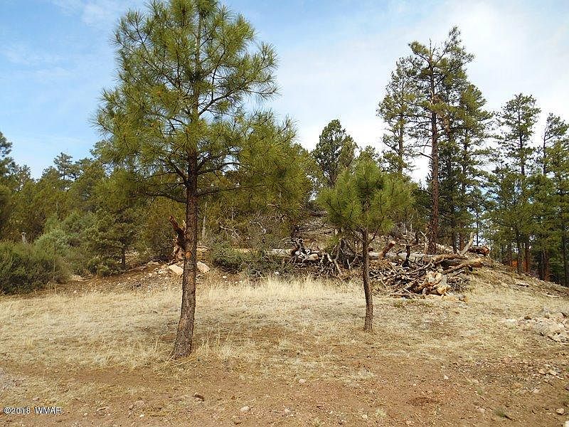 1st image of 2820 Pine Hill Dr