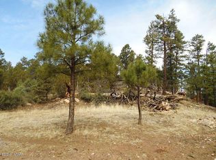 2820 Pine Hill Dr, Overgaard, AZ 85933